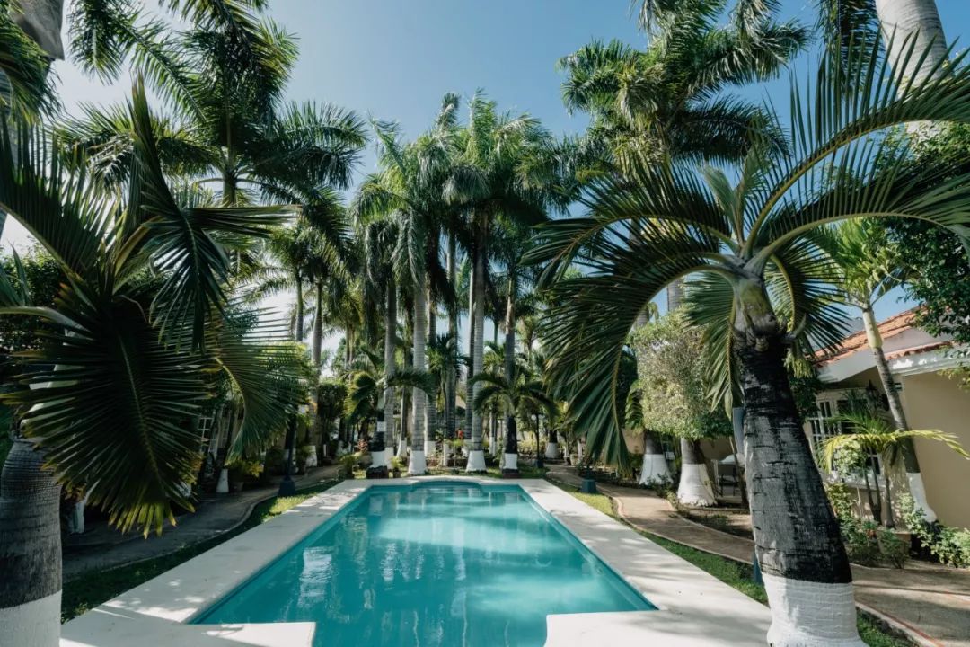 墨西哥尤卡坦半岛旅游,去墨西哥指南