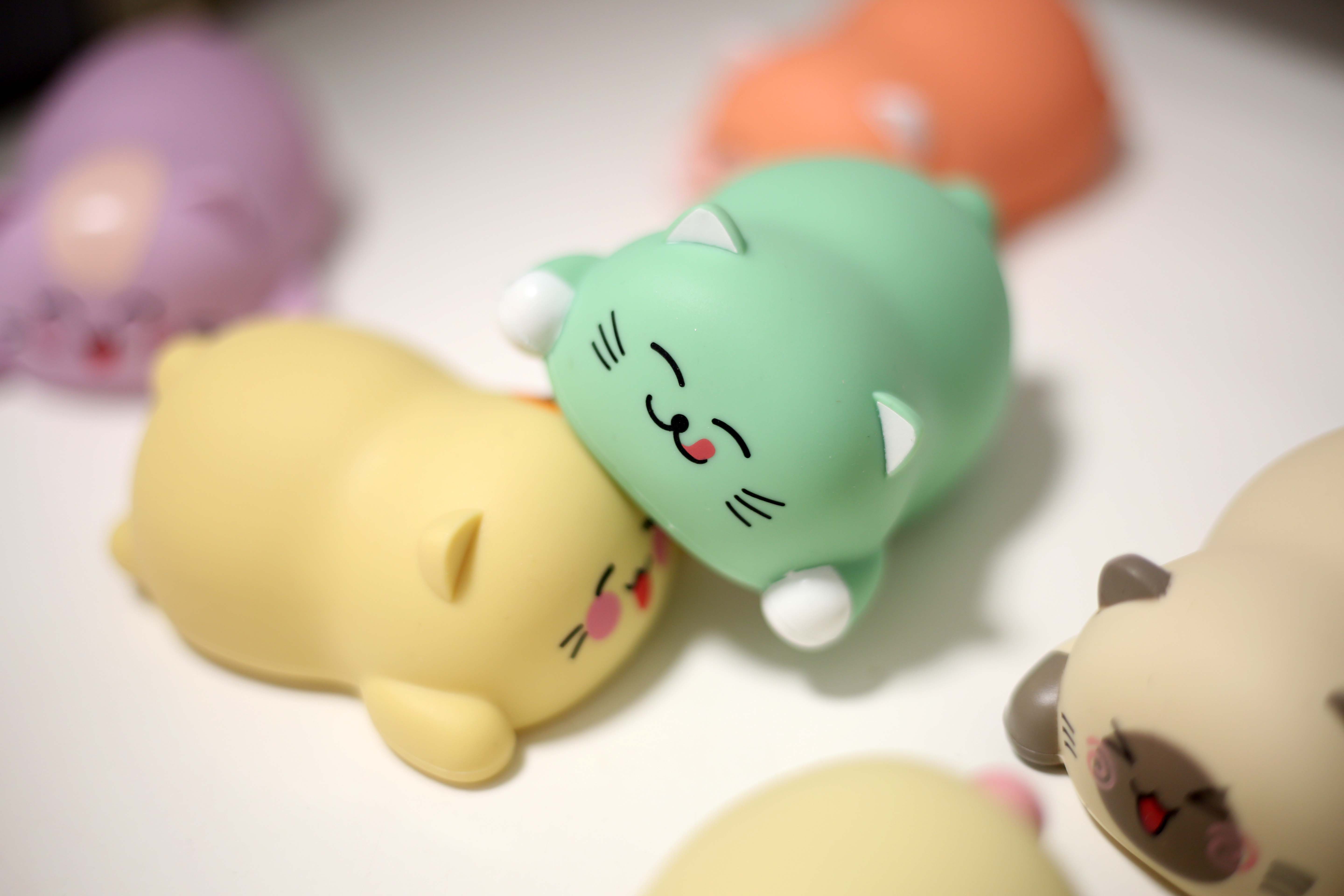 适合撸猫的猫咪,撸猫爱好者