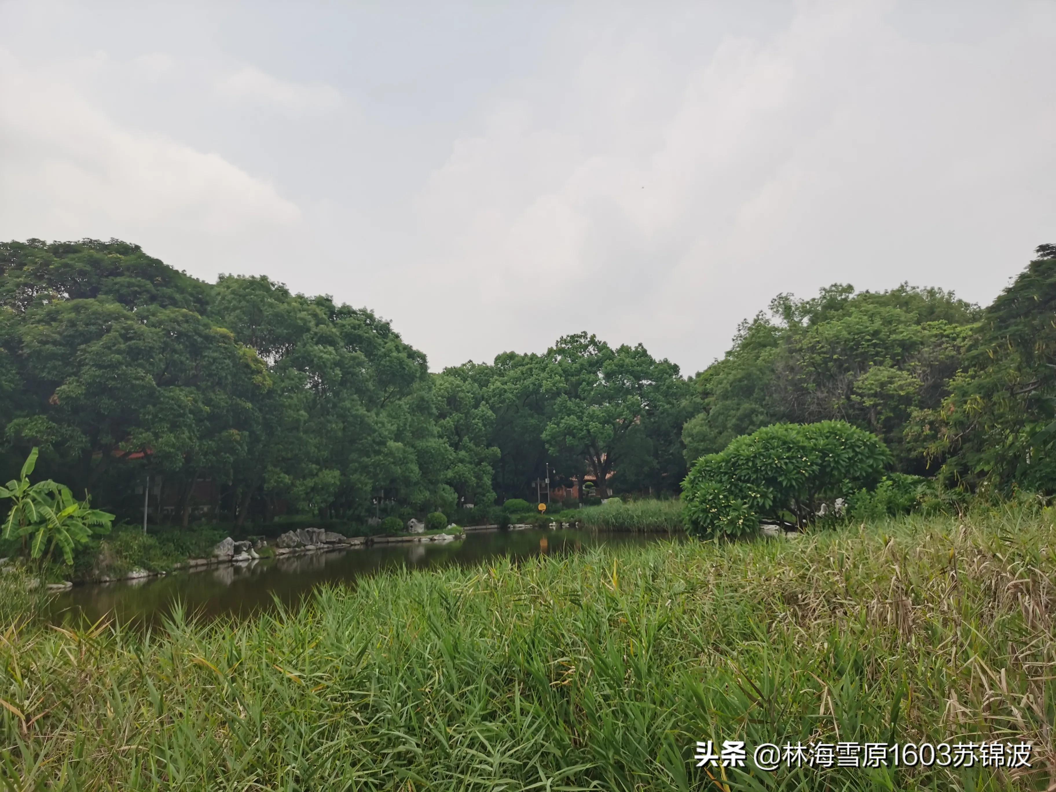 泉州芳草园最新消息,泉州芳草园附近风景