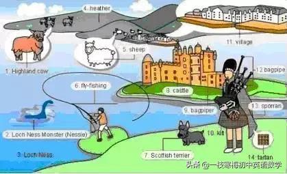 34张图教你记住英语中所有生活用词！