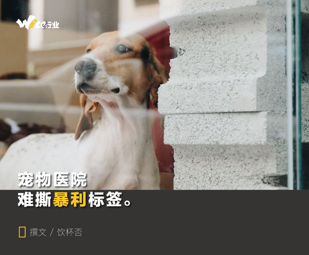 宠物医院暴利,宠物医院开业生意经