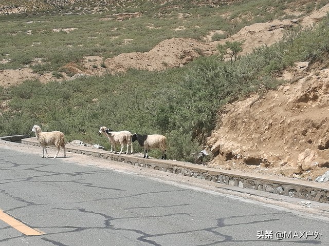 川藏线山南探幽,骑行西藏之旅感悟