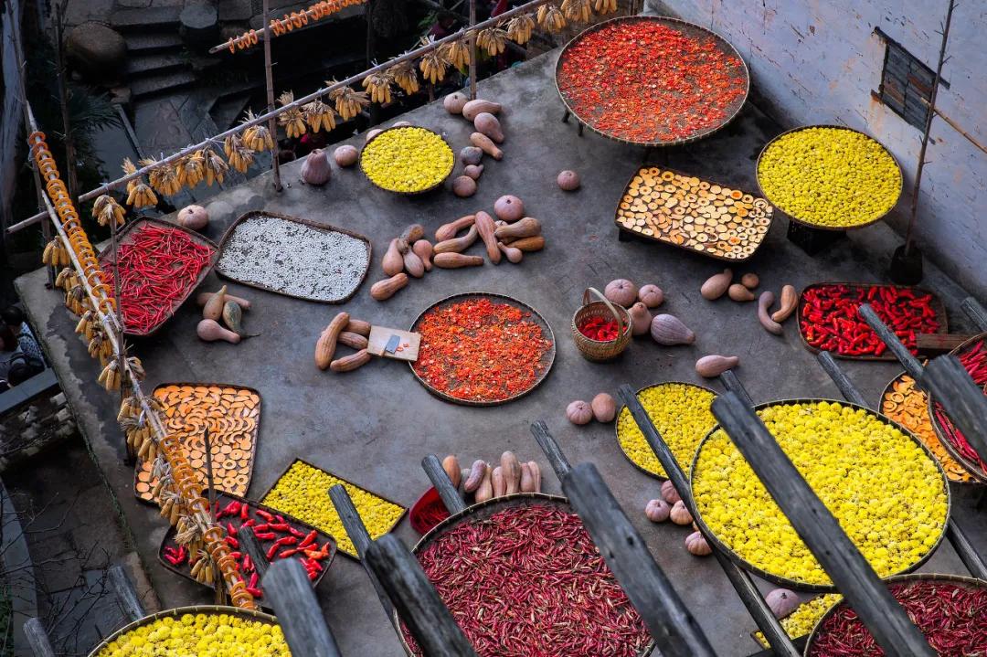 这才是中国最美的乡村,最值得去的鲜花小镇