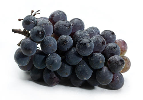 萨摩耶尿很黄什么原因,萨摩耶尿是红色怎么回事