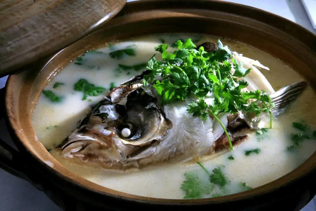 嗨一起去游陇南,嗨一起去陇南