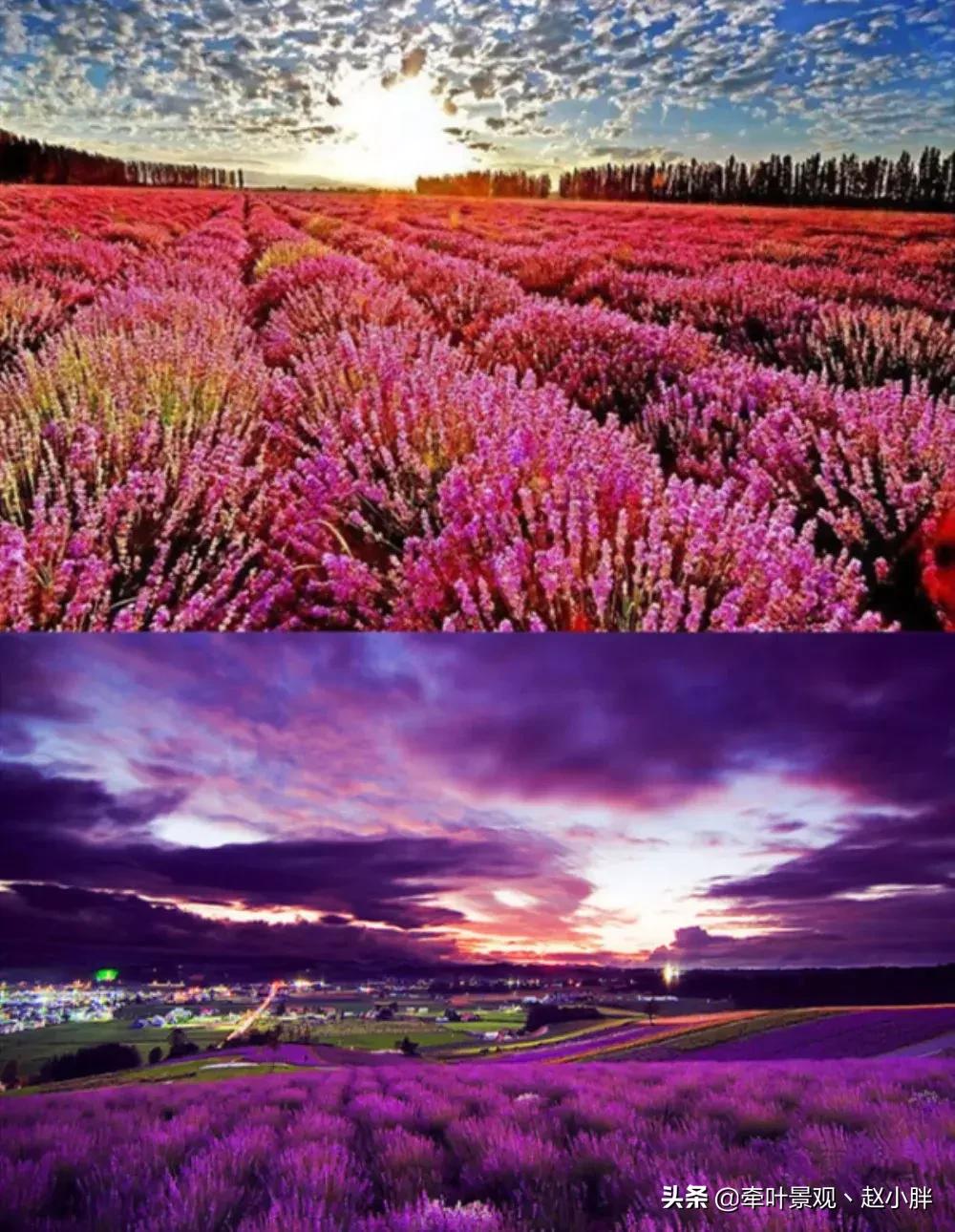 踏春寻美景,踏春赏花梯田漫步