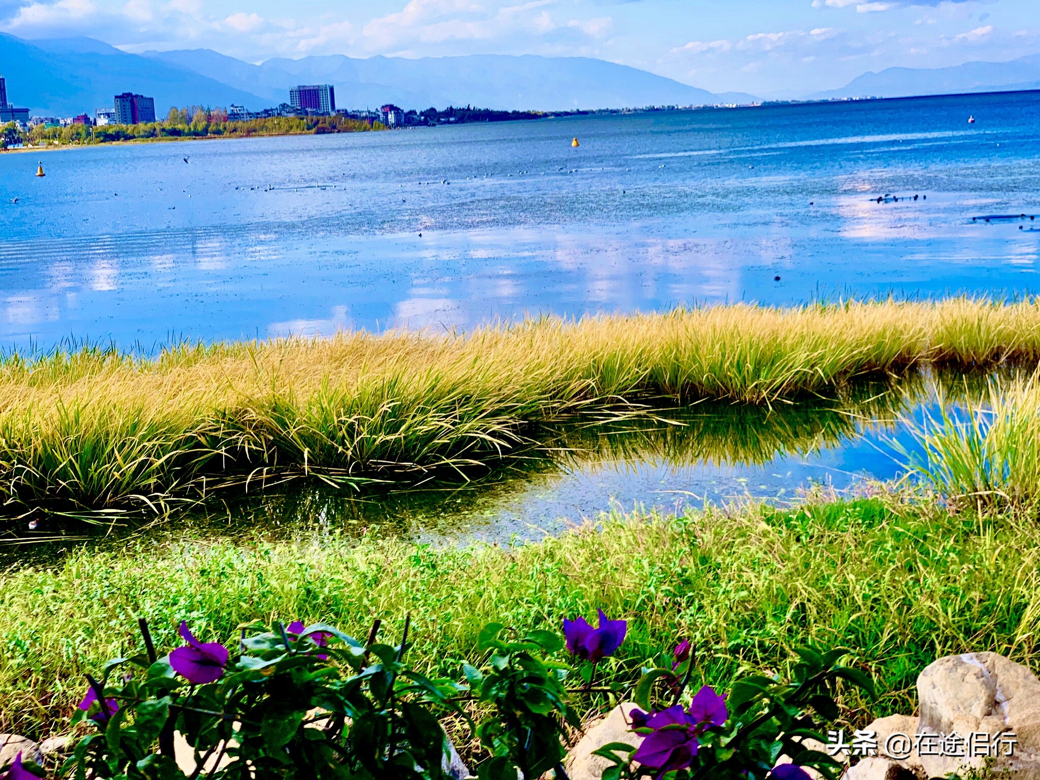 大理洱海恢复了吗,2019年洱海整治好了吗
