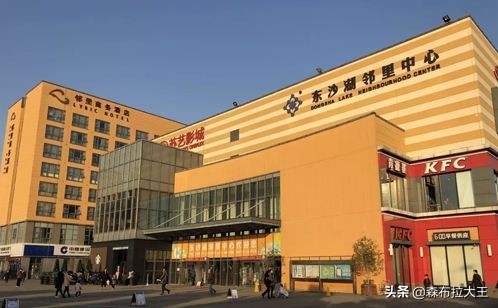 新加坡为什么要开发工业园区,新加坡为何投资苏州