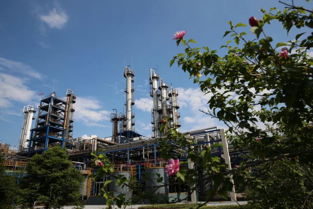 全省重点项目建设快速推进,加快项目建设十四五规划