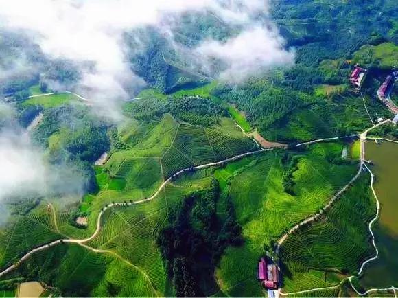 湖北随州风景区介绍,湖北随州5个免费的风景区