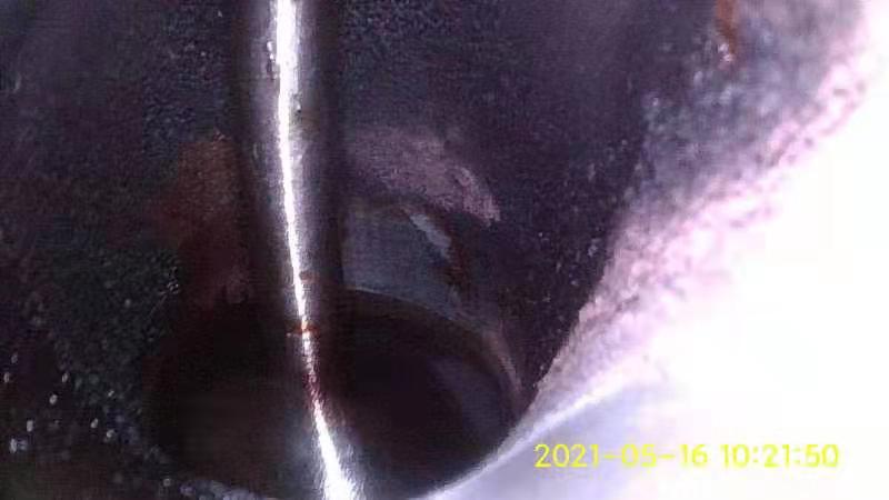 老款斯柯达怠速无规律抖动,上海大众斯柯达怠速抖动严重