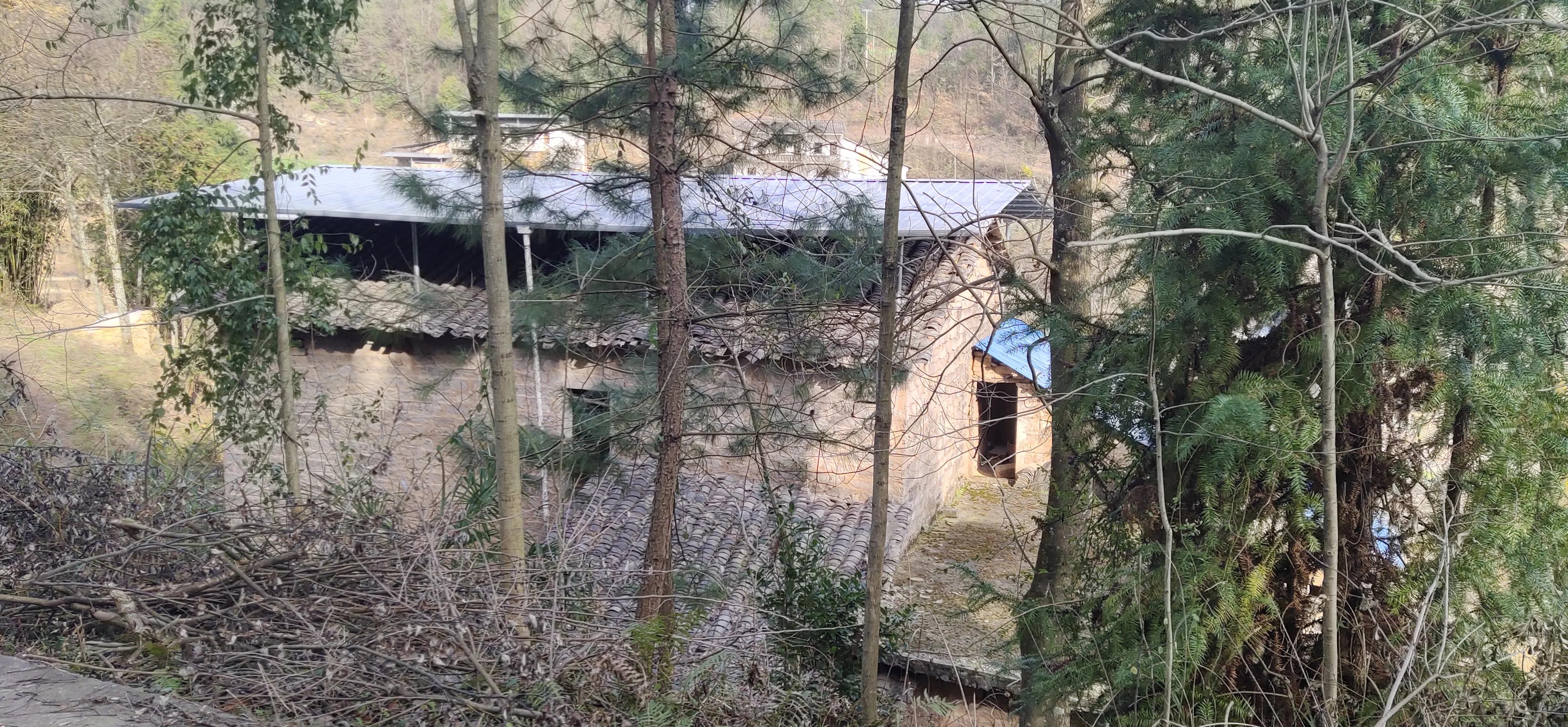 登高感想100字以上,初九登高