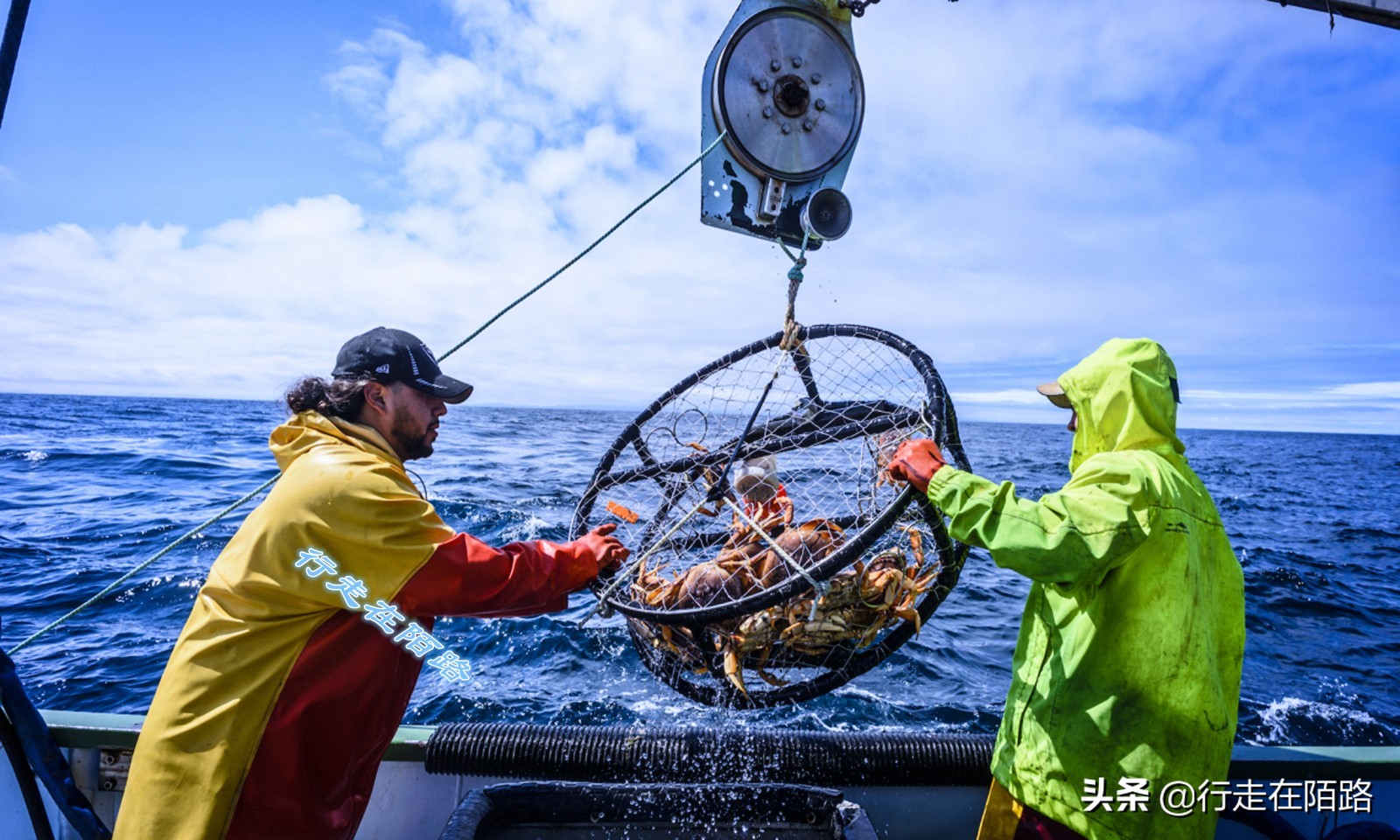 海参崴的渔业资源：挨枪子也要非法捕捞，一次利润数万元
