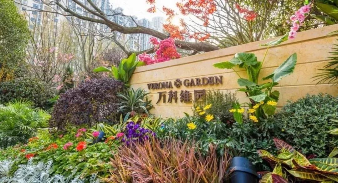 万科是怎样活下去的,万科地产优等生