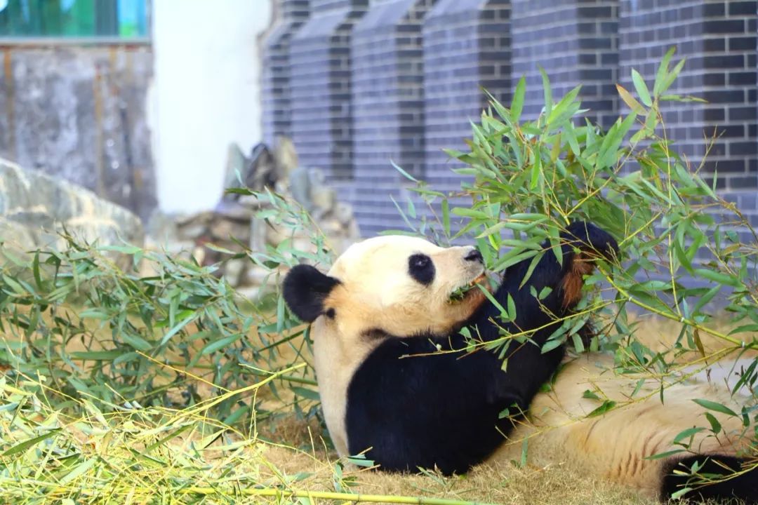 5.17遇见Ta在一起|这里有个不一样的脱单机会,速来~