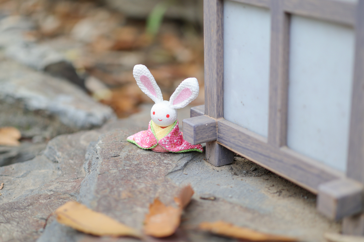 佳能微单eosm10,佳能微单m系列哪个好