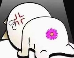 肛肠健康科普短视频,肛肠护理科普知识视频