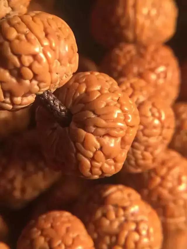 金刚菩提子纹路里面有小孔正常吗,金刚菩提啥样的纹路才是顶级的