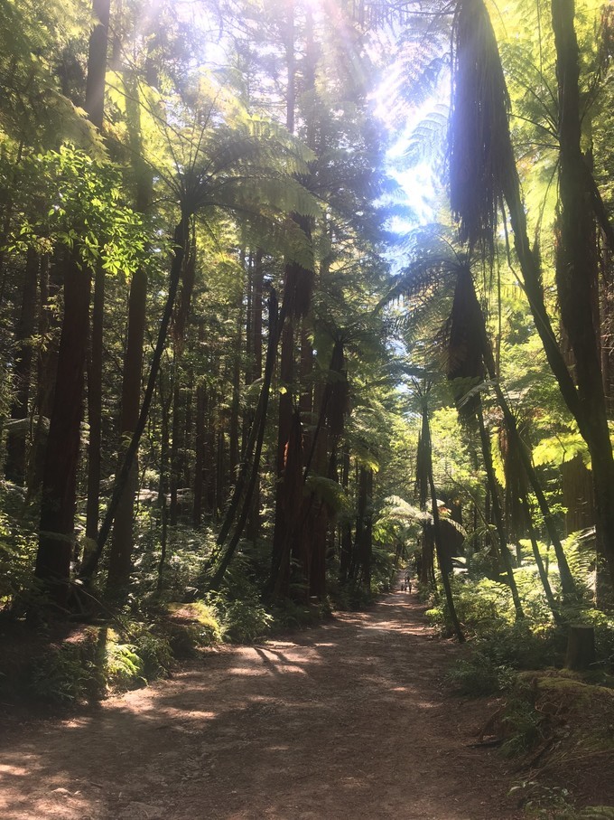 让你不用出门欣赏到美丽的风景,让你不出门你会待几天