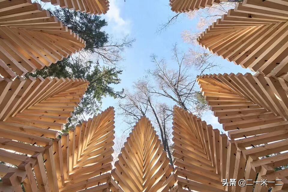 自然元素,空间自然而然