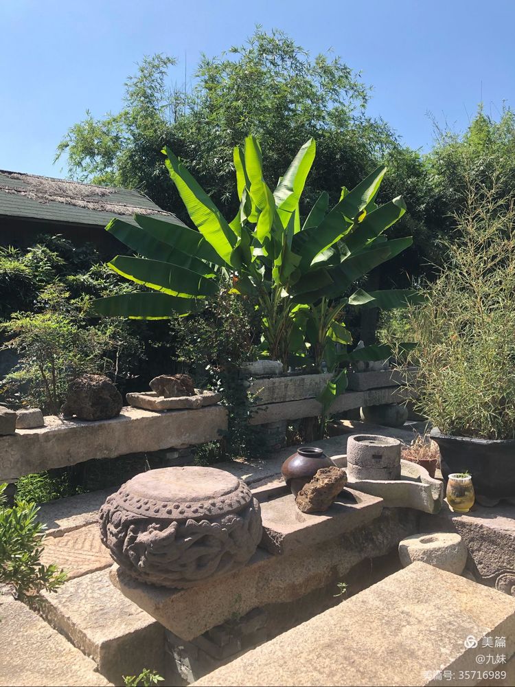 走进风雅石园，位于王店镇聚宝湾景区里