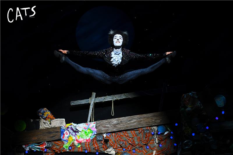 天津大剧院音乐剧演出,天津音乐剧2020