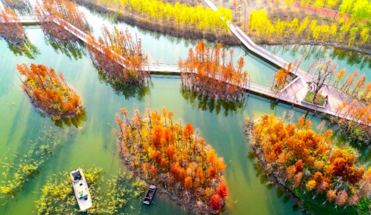 安徽三强vs山东三强,安徽三强vs河北三强