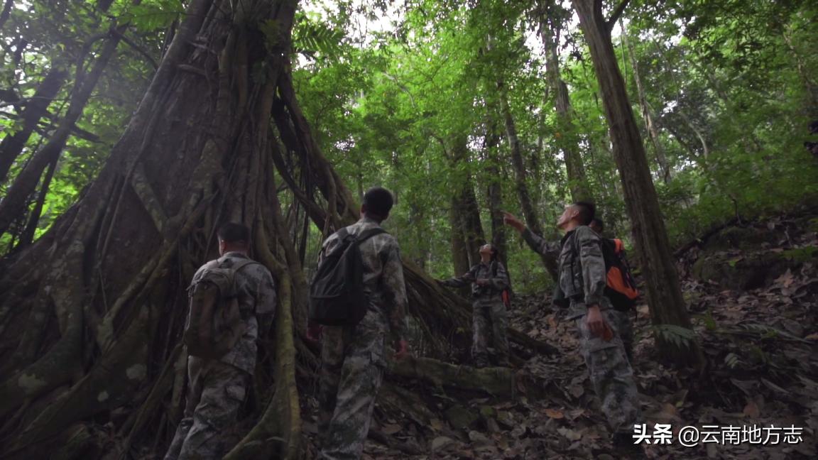缇庡搲浜戝崡鍏ㄩ儴瑙嗛,缇庡搲浜戝崡鍓х収