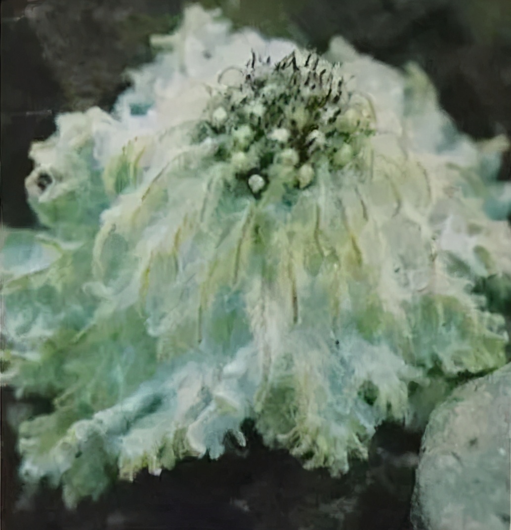 深深悼念|“长江全程摄影第一人”沈延太