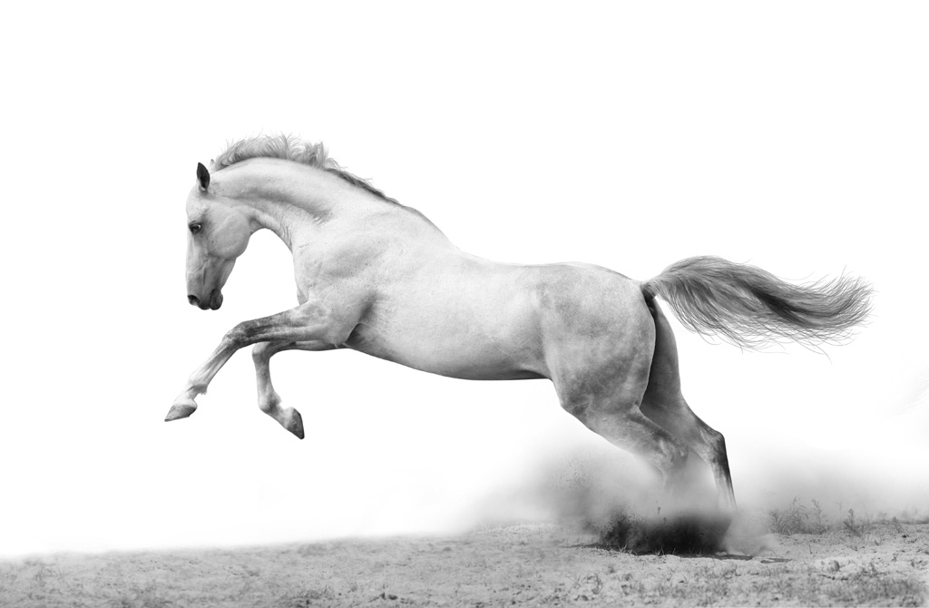 adobe水印制作,ps破碎字体新手教程