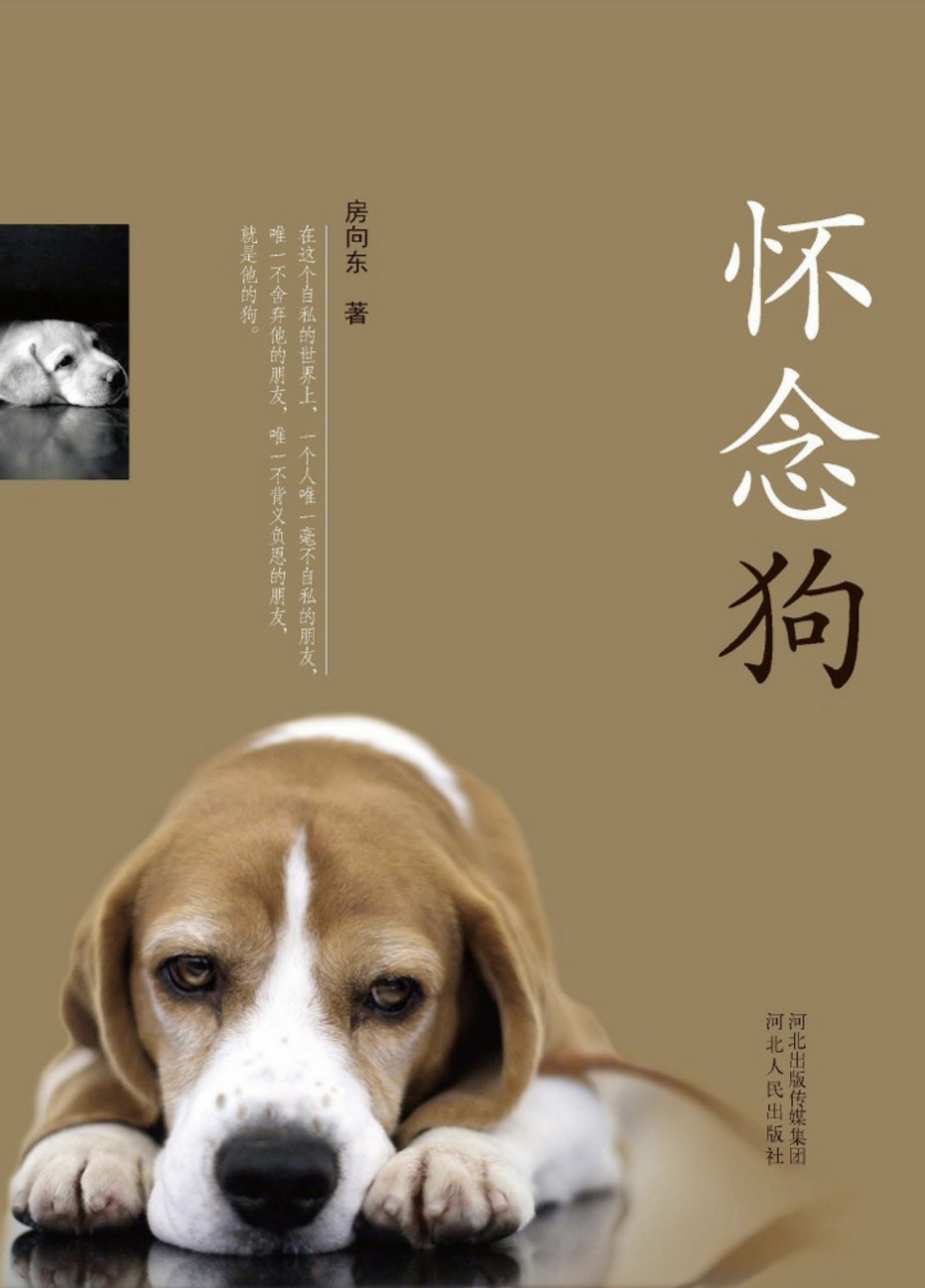 狗狗病得很严重到底要不要安乐死,狗狗患病最终没力气躺在主人怀里