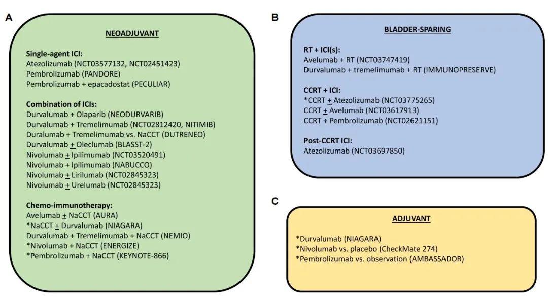 膀胱癌用药一览表,膀胱癌临床适应对患者的影响