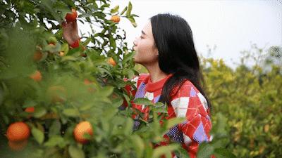 巴南又能耍又有吃的,重庆有什么美食巴南区