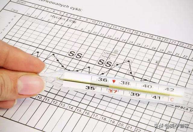 女性排卵期怎么计算出来的,女性排卵期怎么算详细解释