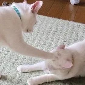 在家遇到坏人怎么报警,遇到坏人不能打电话报警