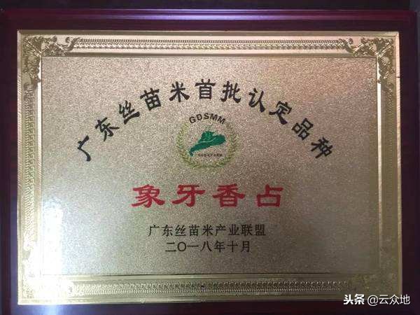 2019年什么稻种最好高产,2021年稻种都有什么新品种