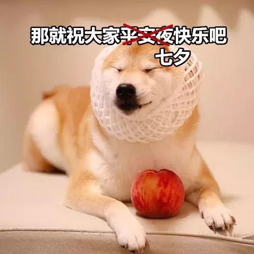 留过学的女生很难嫁得出去,为什么要找学历高的女生谈恋爱