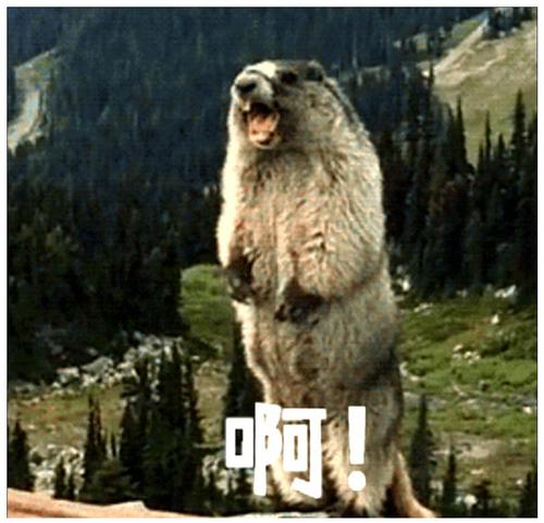 唐太宗给唐僧一本通关文牒图片,唐僧的通关文牒写着什么内容呢