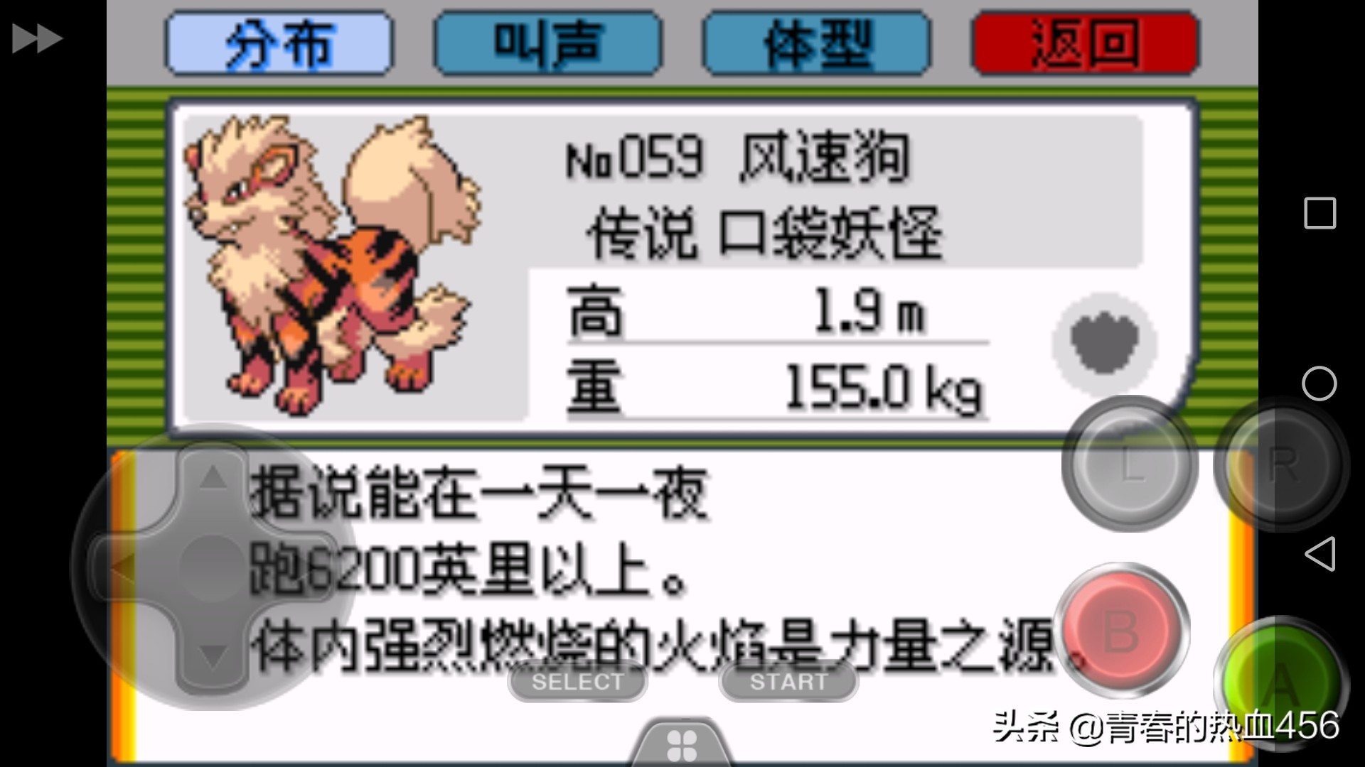 口袋妖怪剑盾风速狗,口袋妖怪剑盾雪原抓什么宝可梦好