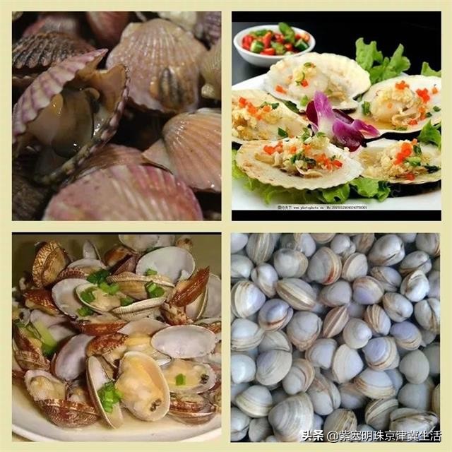 东戴河亿方客农家院,东戴河零距离农家院推荐