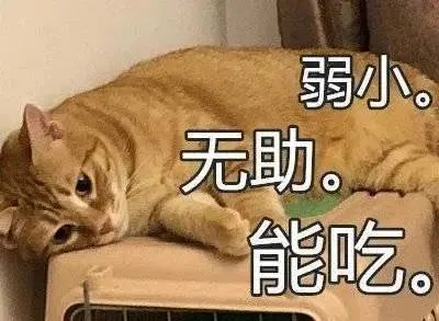 龙鱼老是扑水怎么回事,龙鱼有掉眼倾向怎么办