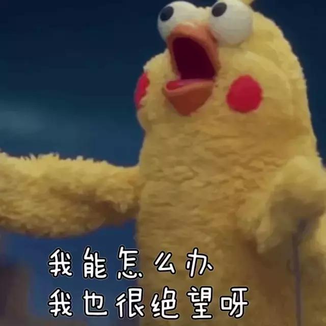 上千元的包包旧了怎么办,几百元的包包最好怎么保养