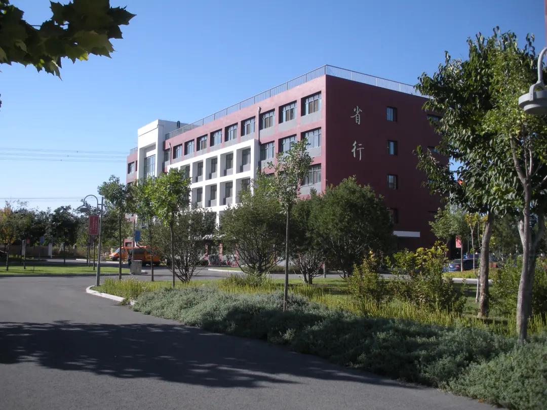 最美校园获奖照片,喜报学校荣获全面优胜单位