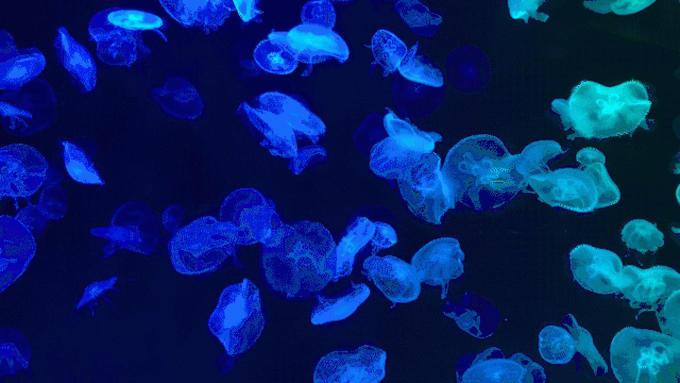 5年之许,小白逆袭重返新加坡