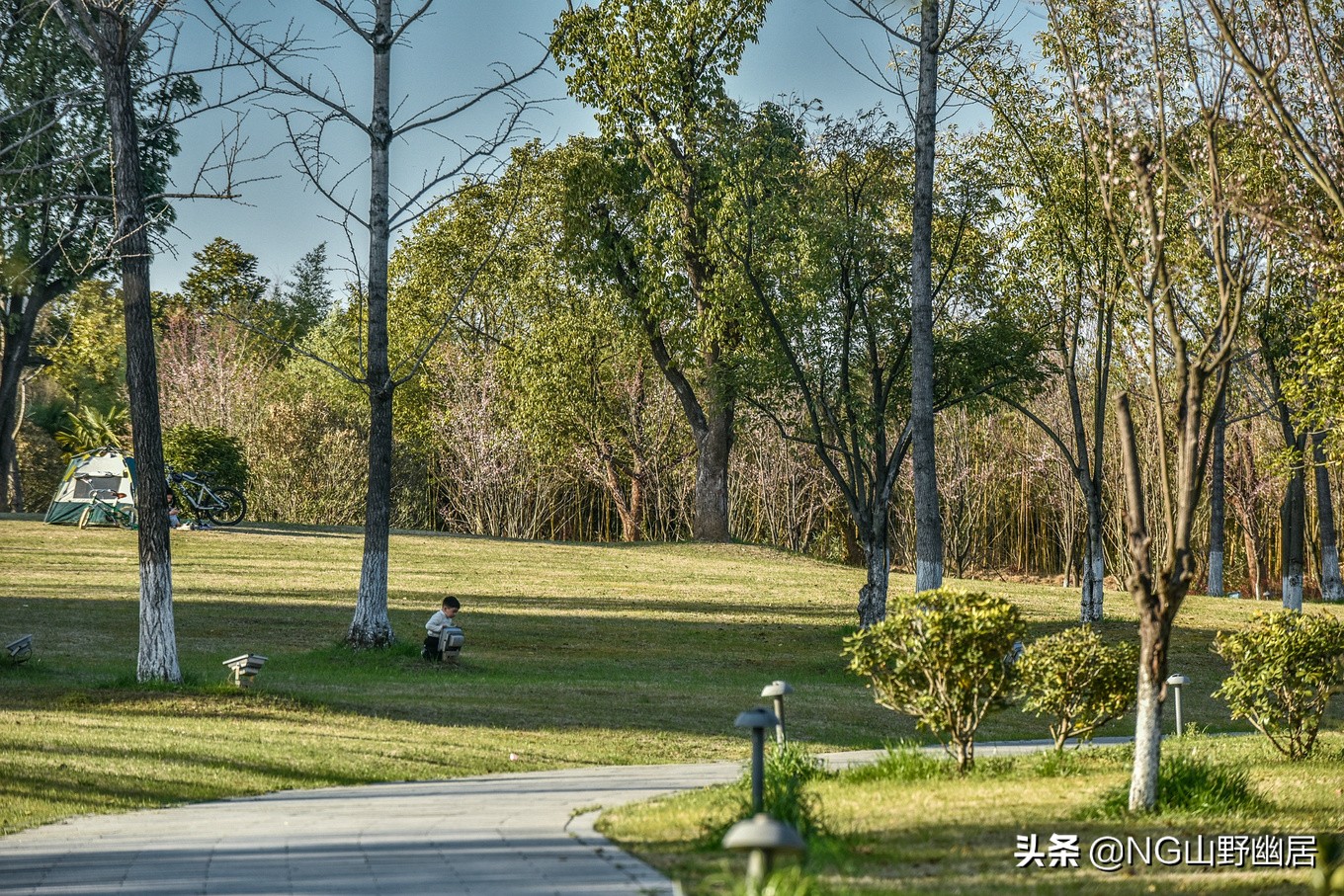 安徽宁国乡镇gdp,安徽省宁国市gdp