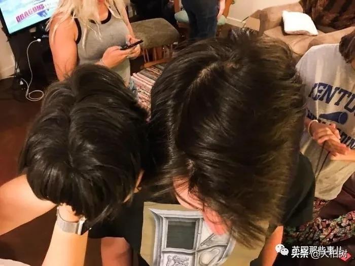 蓝鲸到底有多大,直观感受蓝鲸有多大