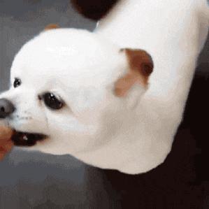 你特么放屁就放屁，对着我的脸放算是怎么回事？