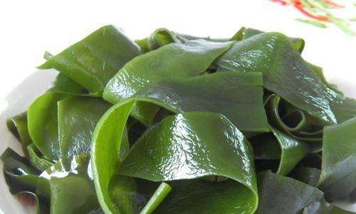 海带和裙带菜是一样的吗,海带和裙带菜有区别吗