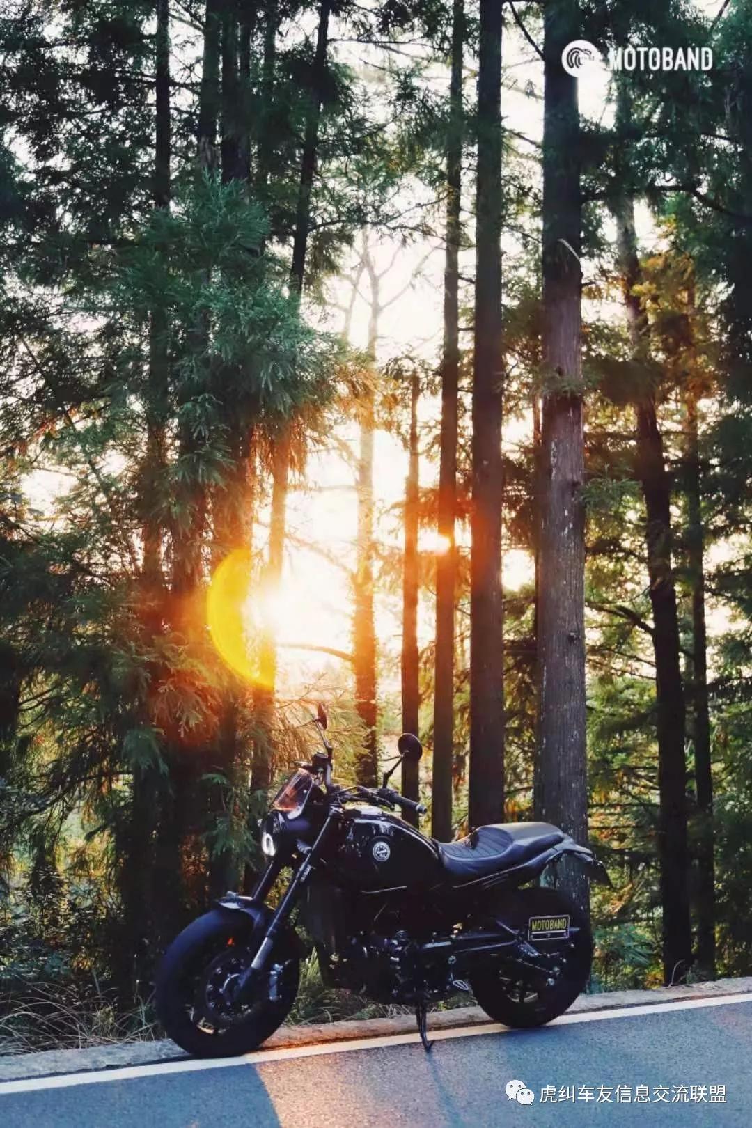 贝纳利幼狮500辐条轮爆胎,贝纳利幼狮500公路版改牌照架