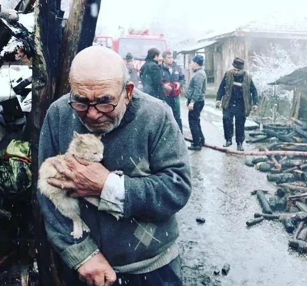 去土耳其当猫好吗,在土耳其做一只幸福的猫